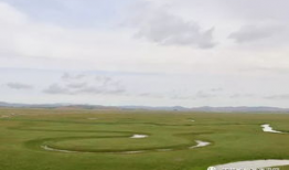 青草原在线视频,探寻自然之美与生态和谐