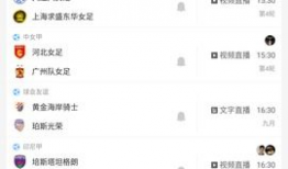 91看球直播回放,精彩瞬间回顾，重温激情赛事